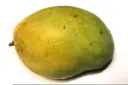 Mangoes Embe